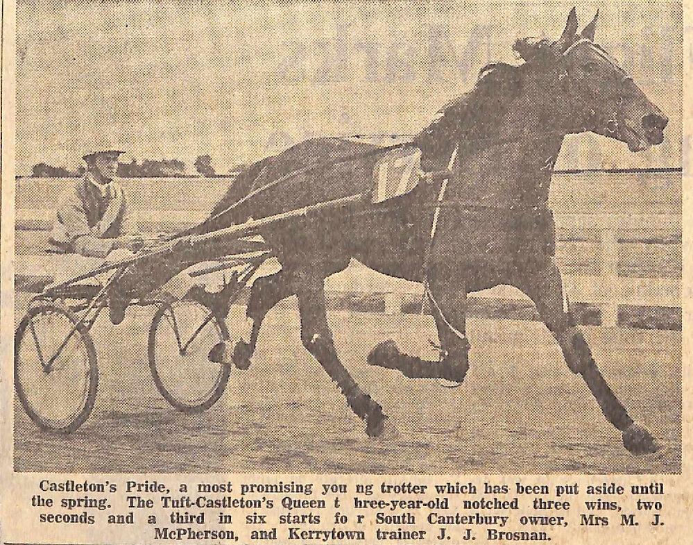 Castleton's Pride promising young trotter