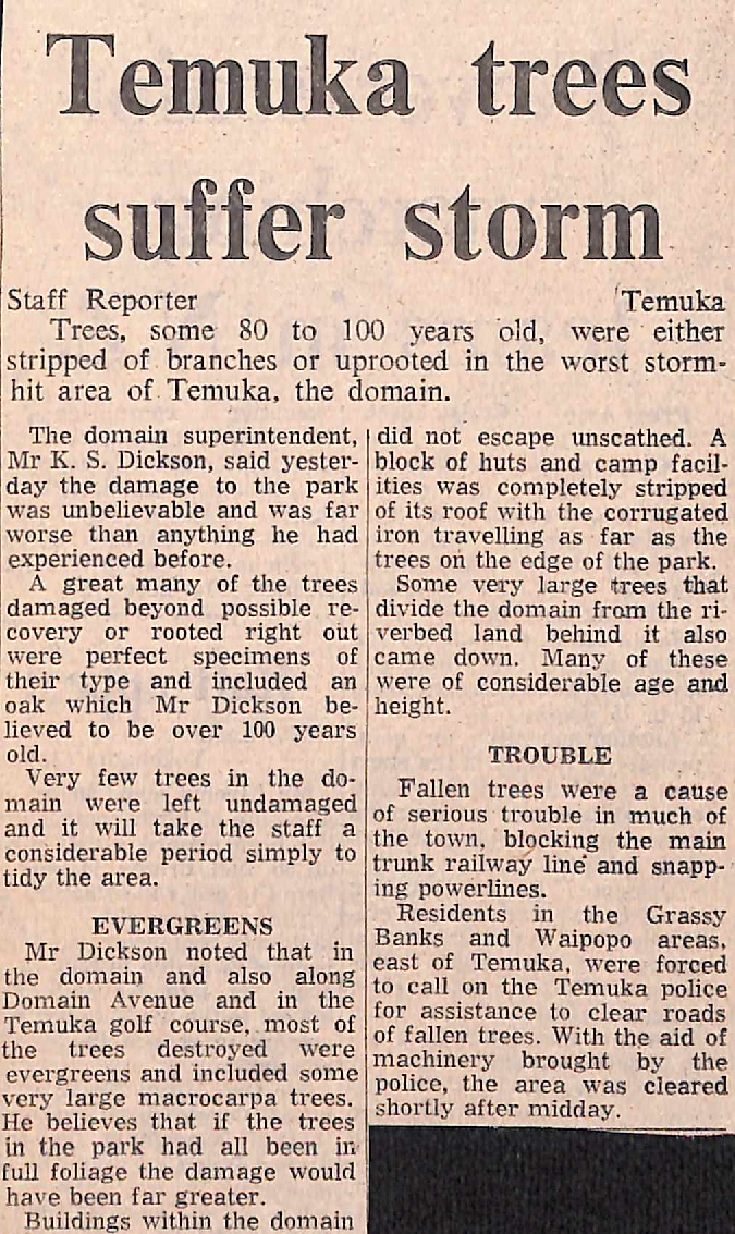 Temuka trees suffer storm