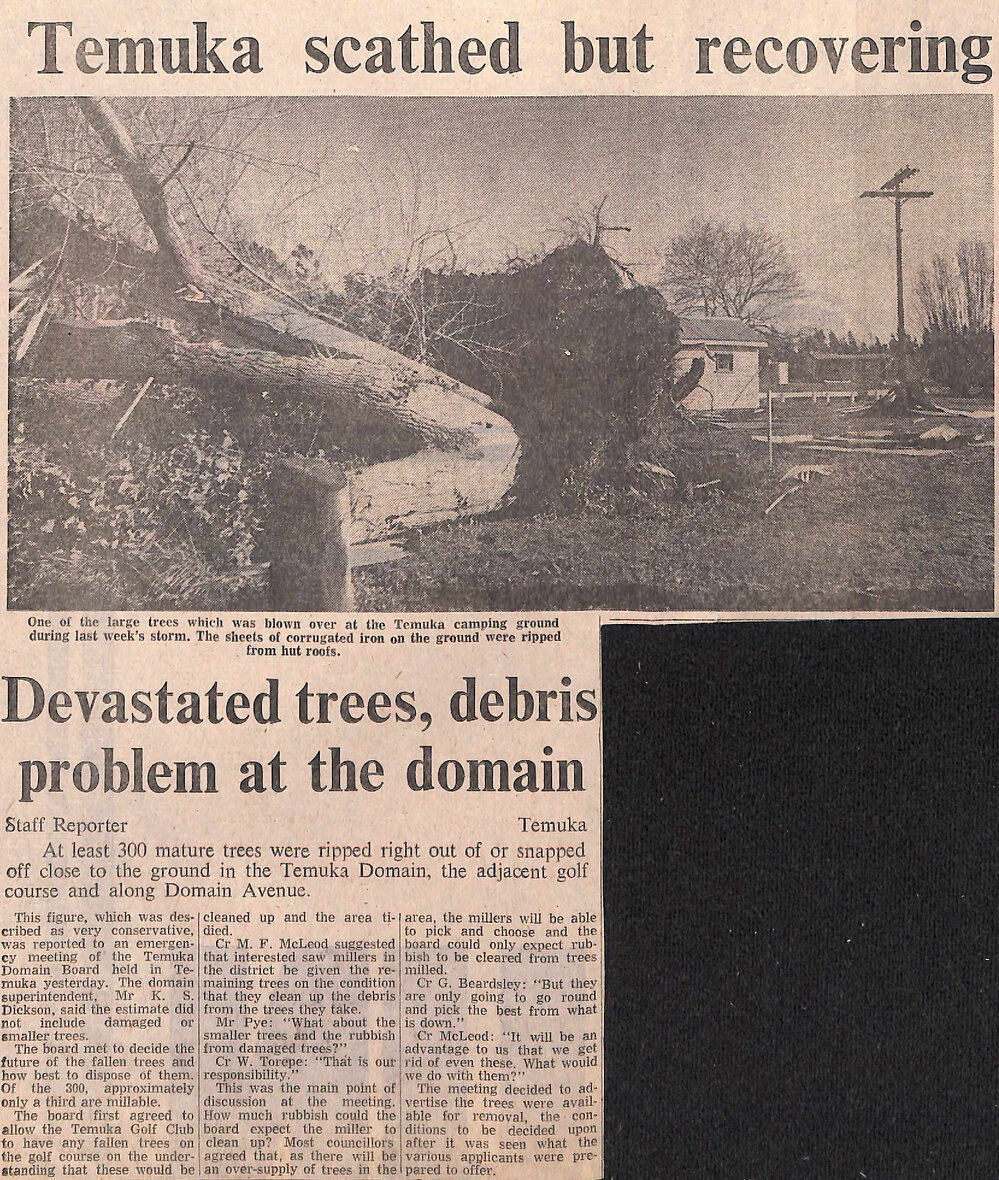 Temuka scathed but recovering: Devastated trees, debris problem at the domain