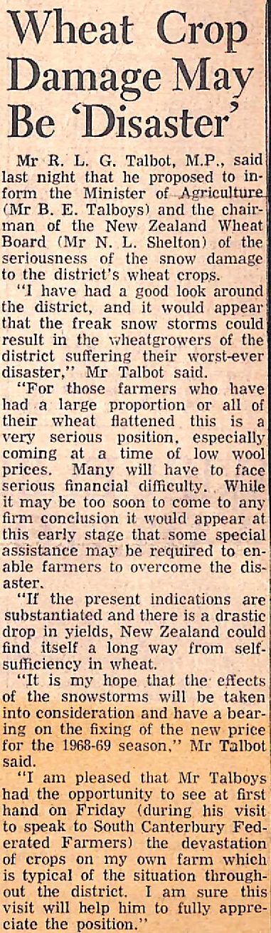 Wheat Crop Damage May Be 'Disaster'