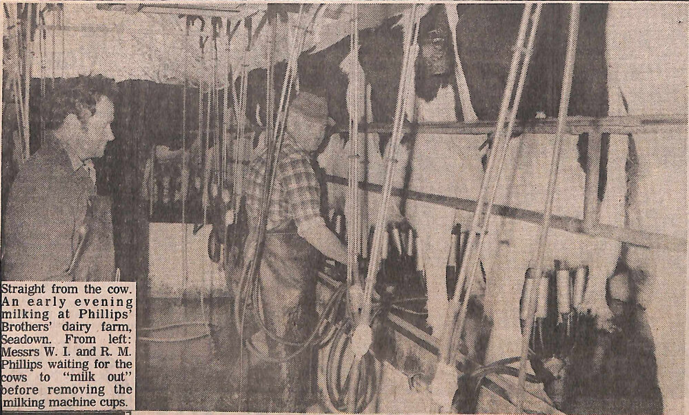 Town milk collection, production, distribution