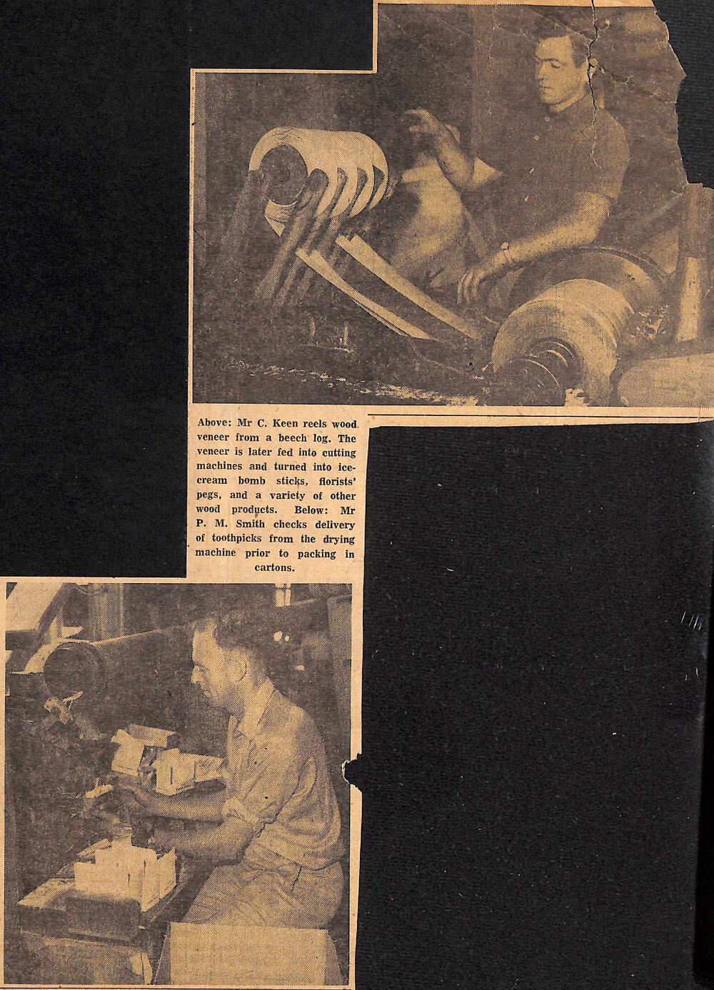 Timaru Factory Makes NZs Toothpicks