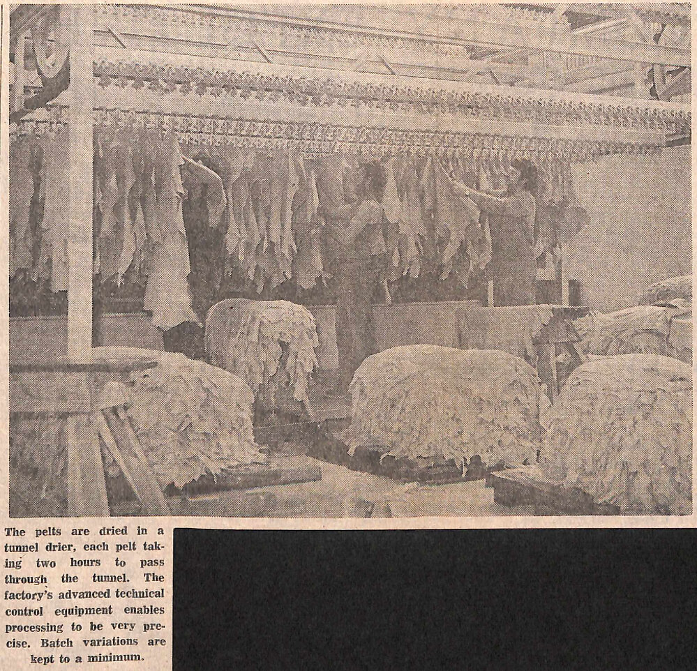 Washdyke factory boosts exports