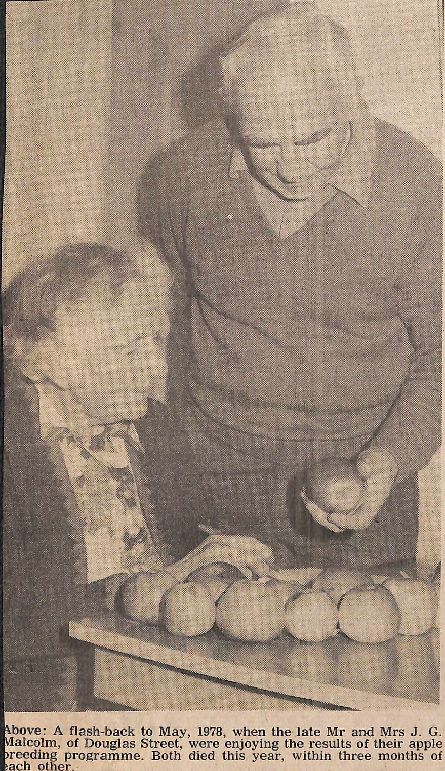 Death did not end project started by Timaru woman