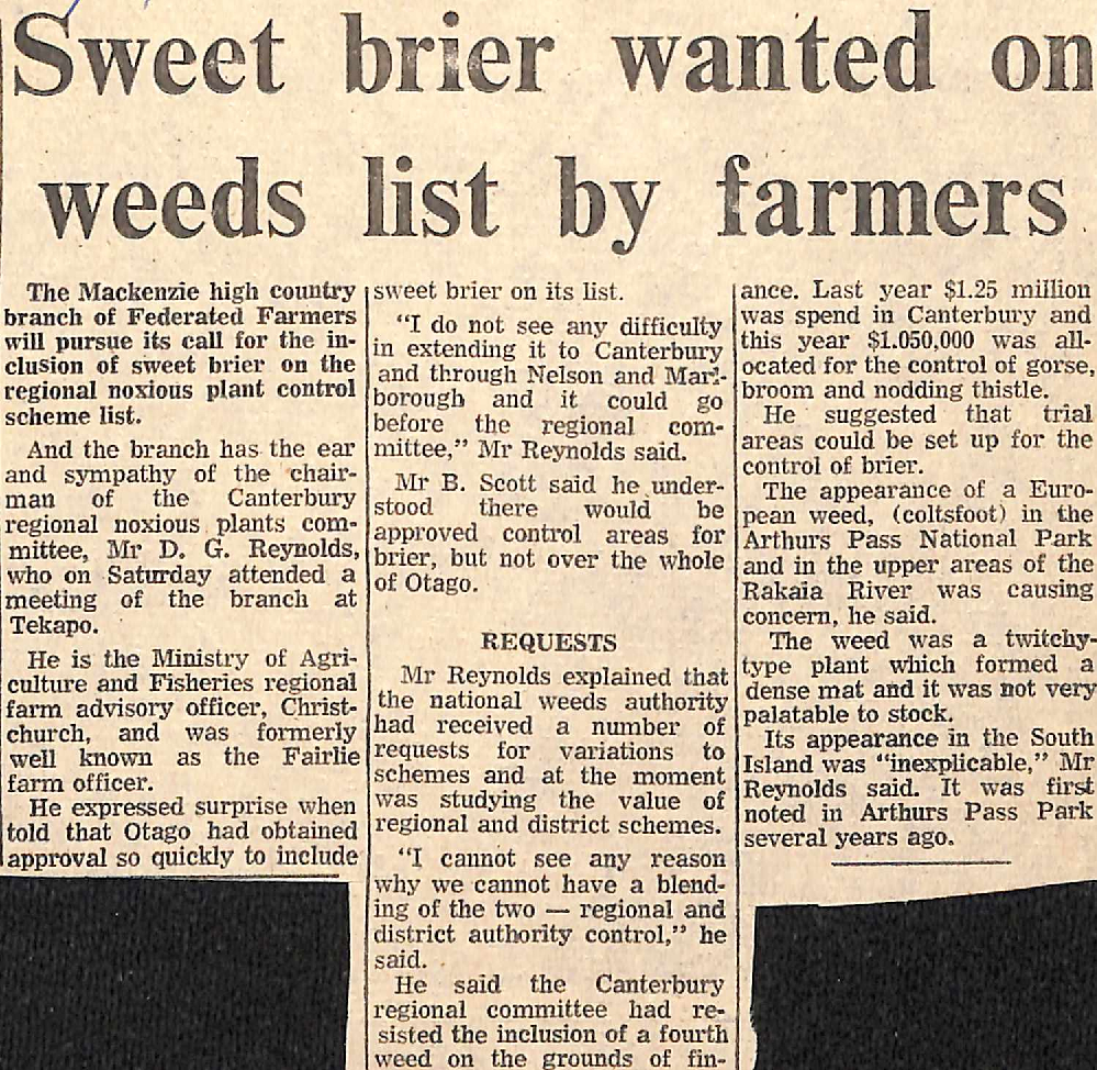 Sweet brier wanted on weeds list by farmers
