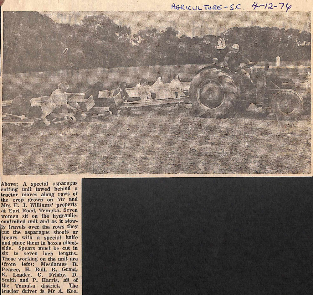 Asparagus growing thriving SC export industry