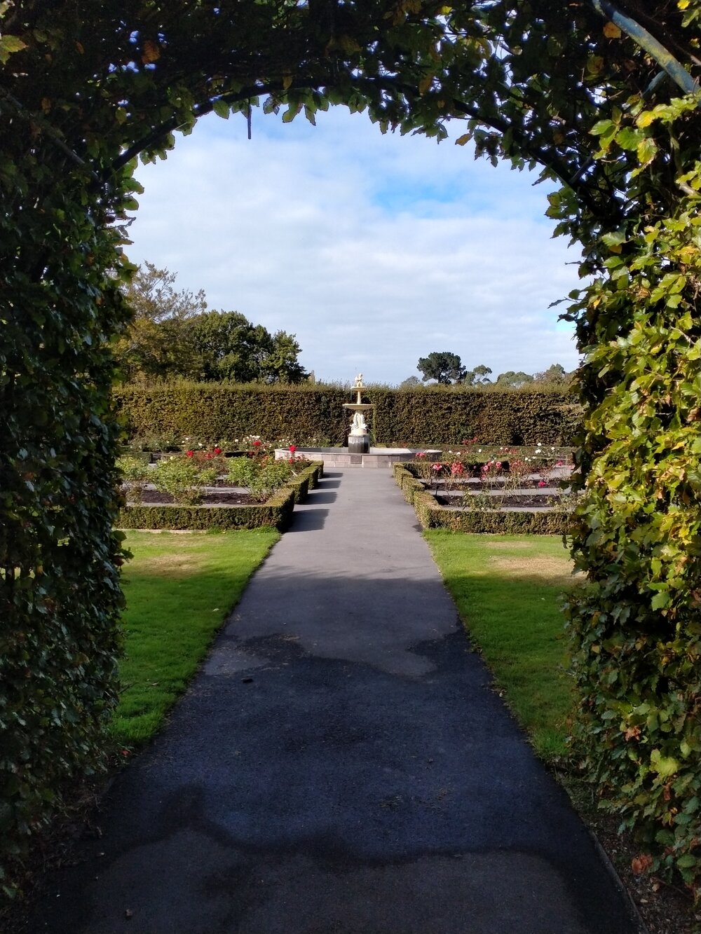 The Anderson Rose Garden