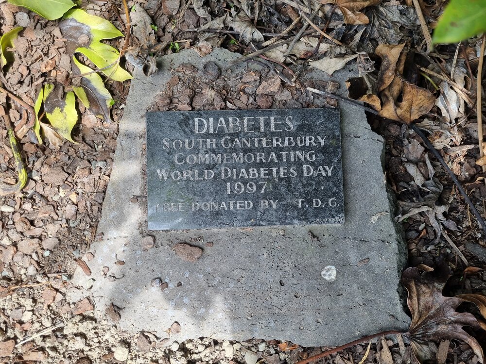 World Diabetes Day plaque at Caroline Bay