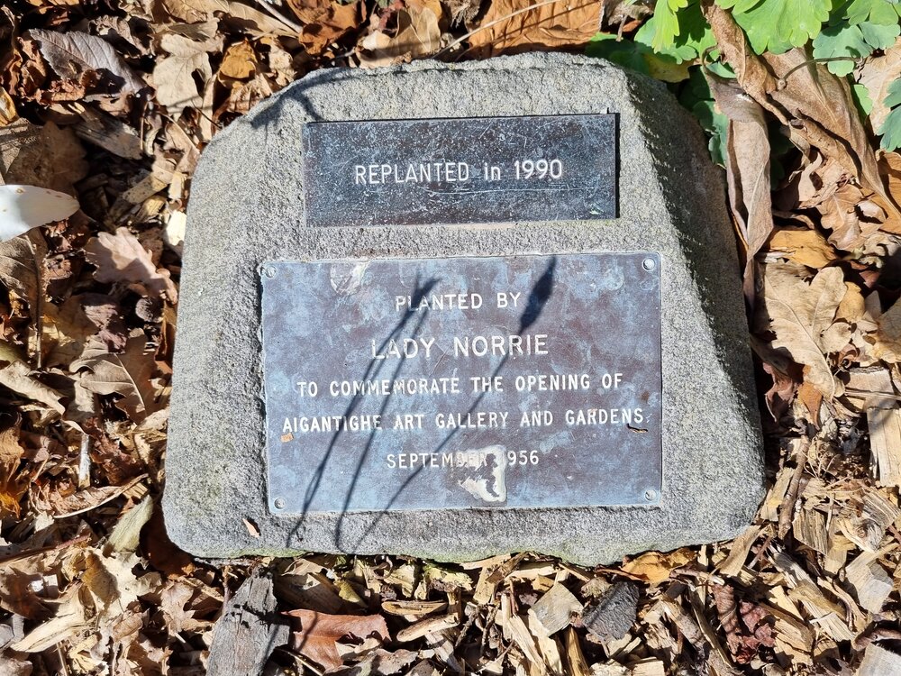 Aigantighe Lady Norrie tree and plaque