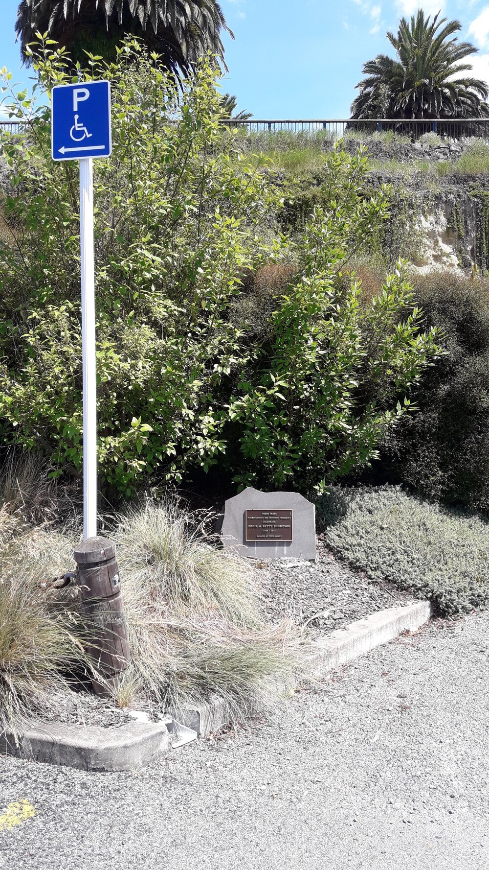 Eddie &amp; Betty Thompson memorial trees