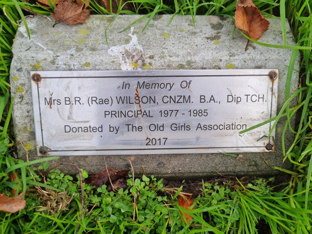 Rae Wilson memorial tree