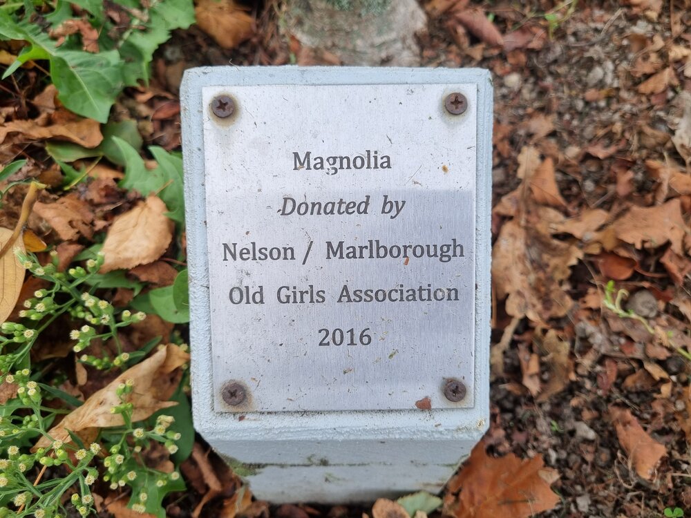 Timaru Girls' High School Old Girls memorial tree