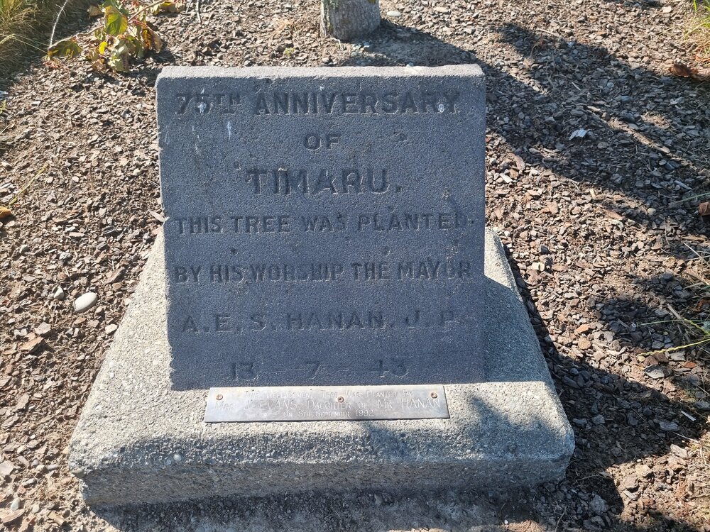 75th Anniversary of Timaru commemorative tree