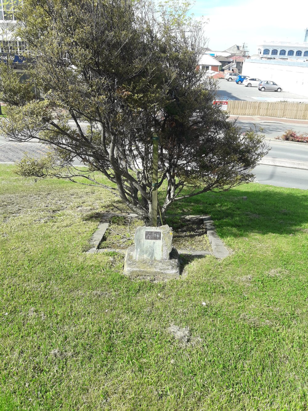 Association of Anglican Women memorial tree