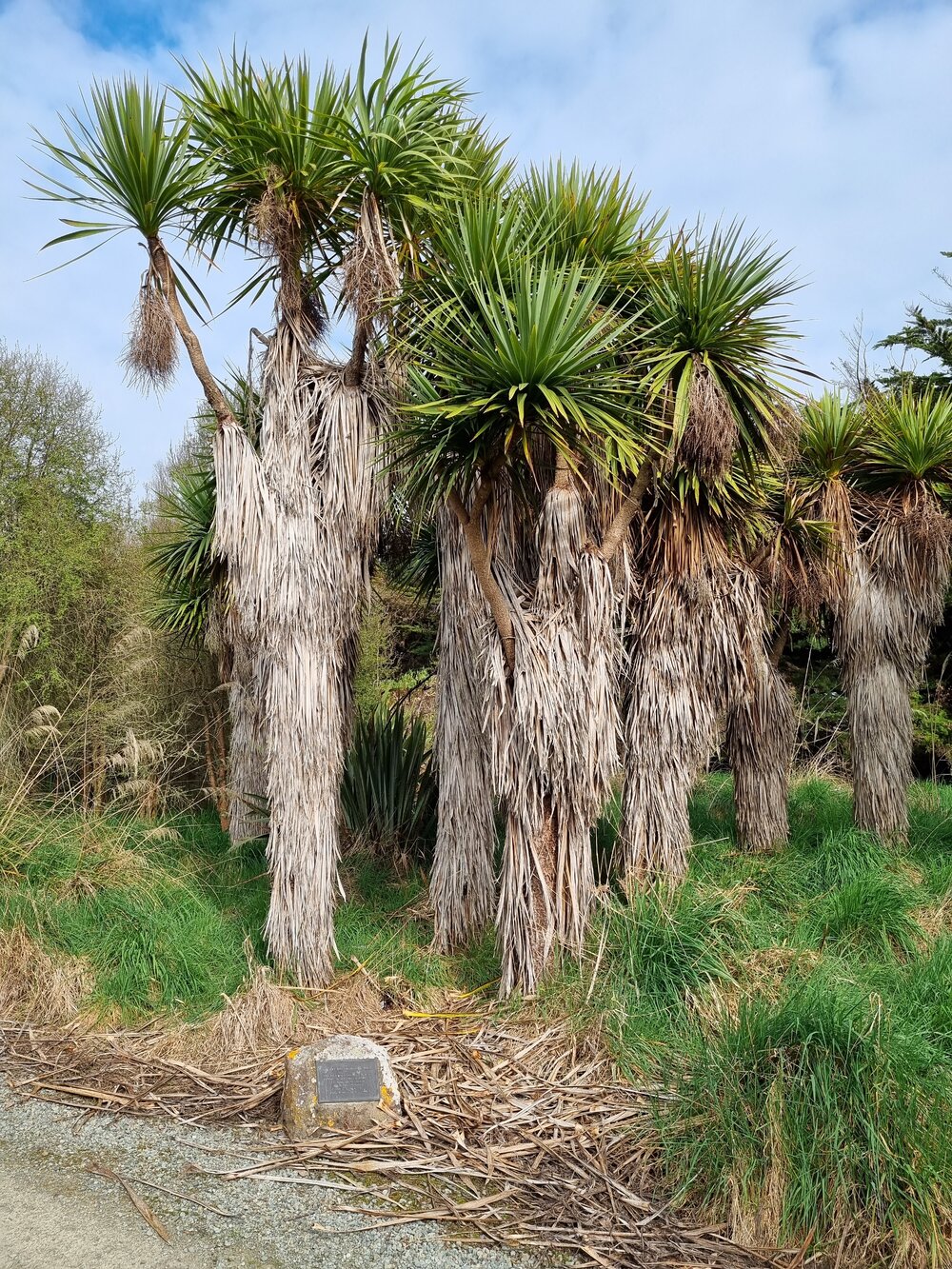Fay Wing memorial plaque