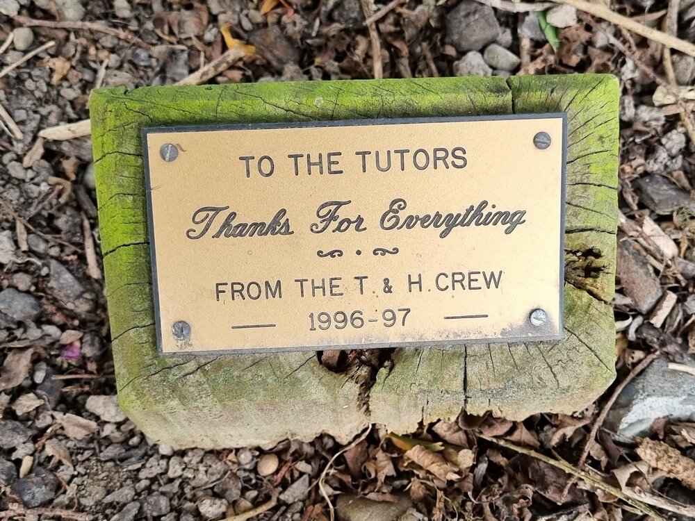 Aoraki Polytechnic Tutors Tree