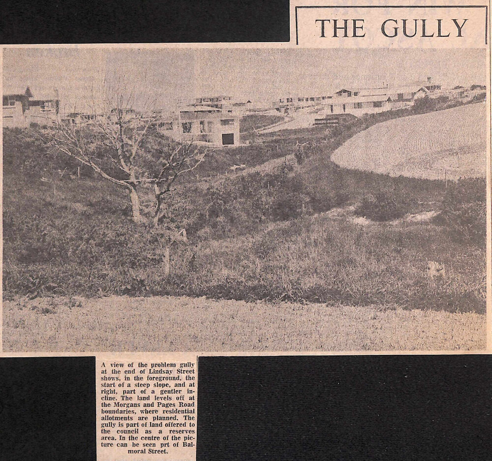 The Gully: Decision on Problem Gully Delaying Land Subdivision