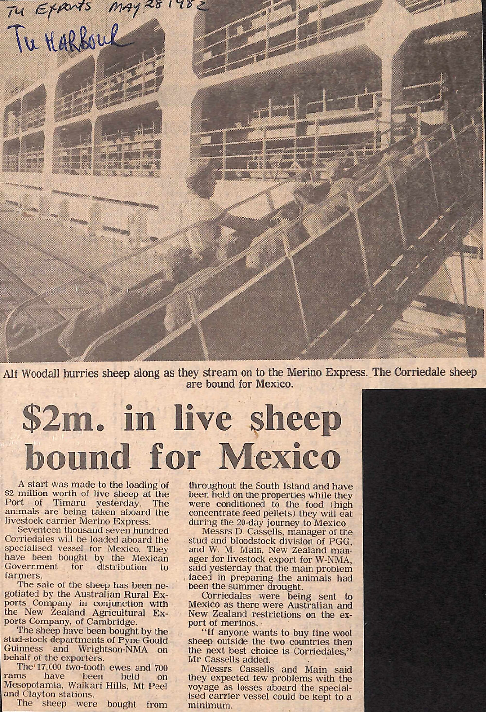 $2m in live sheep bound for Mexico