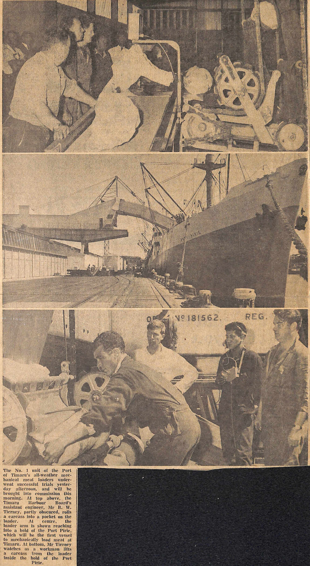 First Cargo of Lamb Today Through Port Meat Loader, Trial Proves Efficiency of New Machine