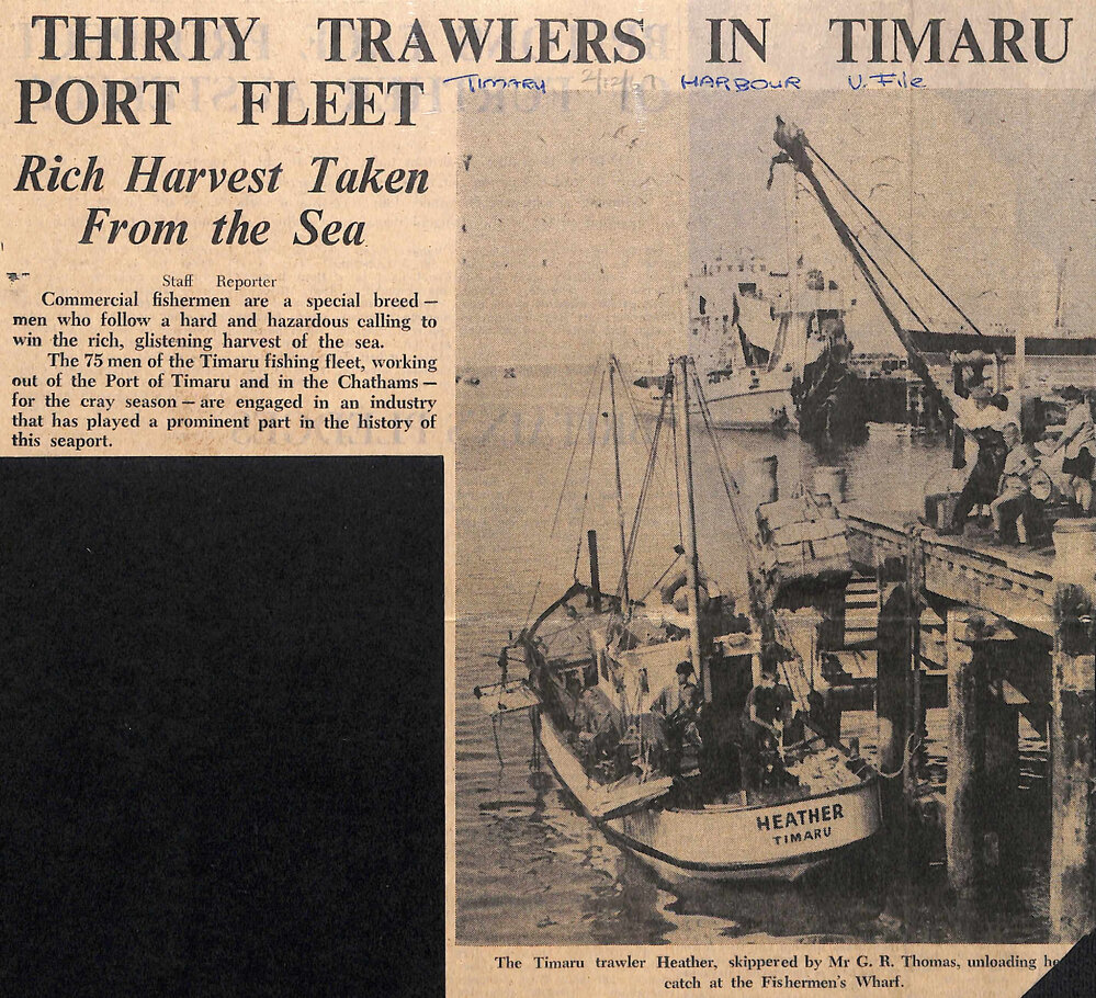 Thirty Trawlers in Timaru Port Fleet, Rich Harvest Taken From the Sea