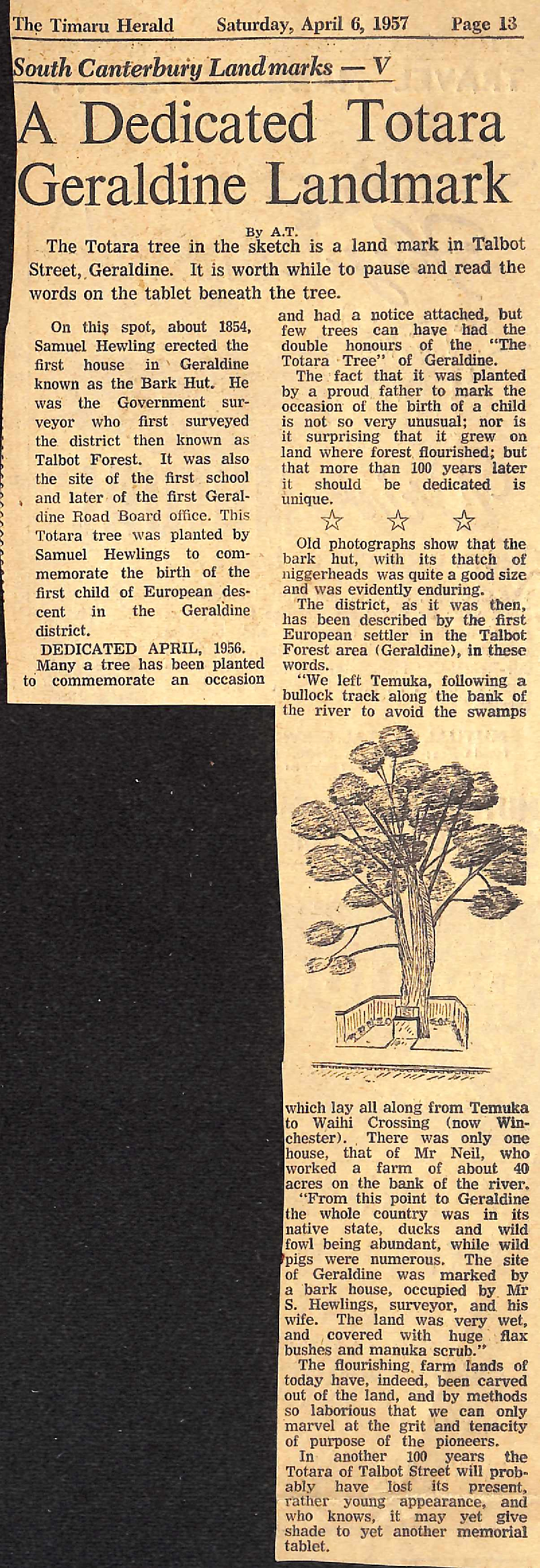 South Canterbury Landmarks - V: A Dedicated Totara Geraldine Landmark