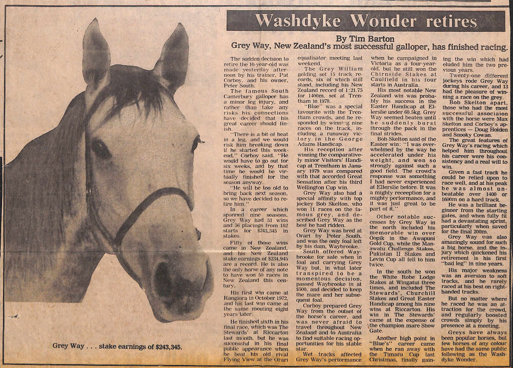 Washdyke Wonder retires