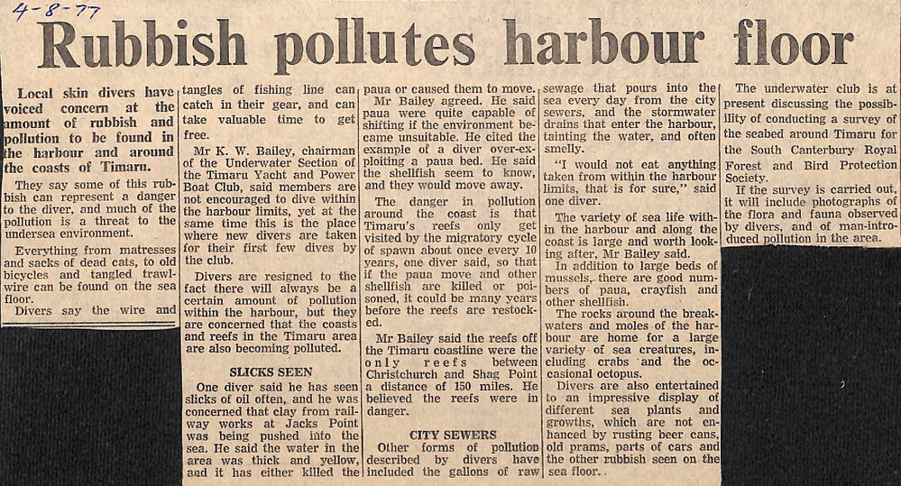 Rubbish pollutes harbour floor