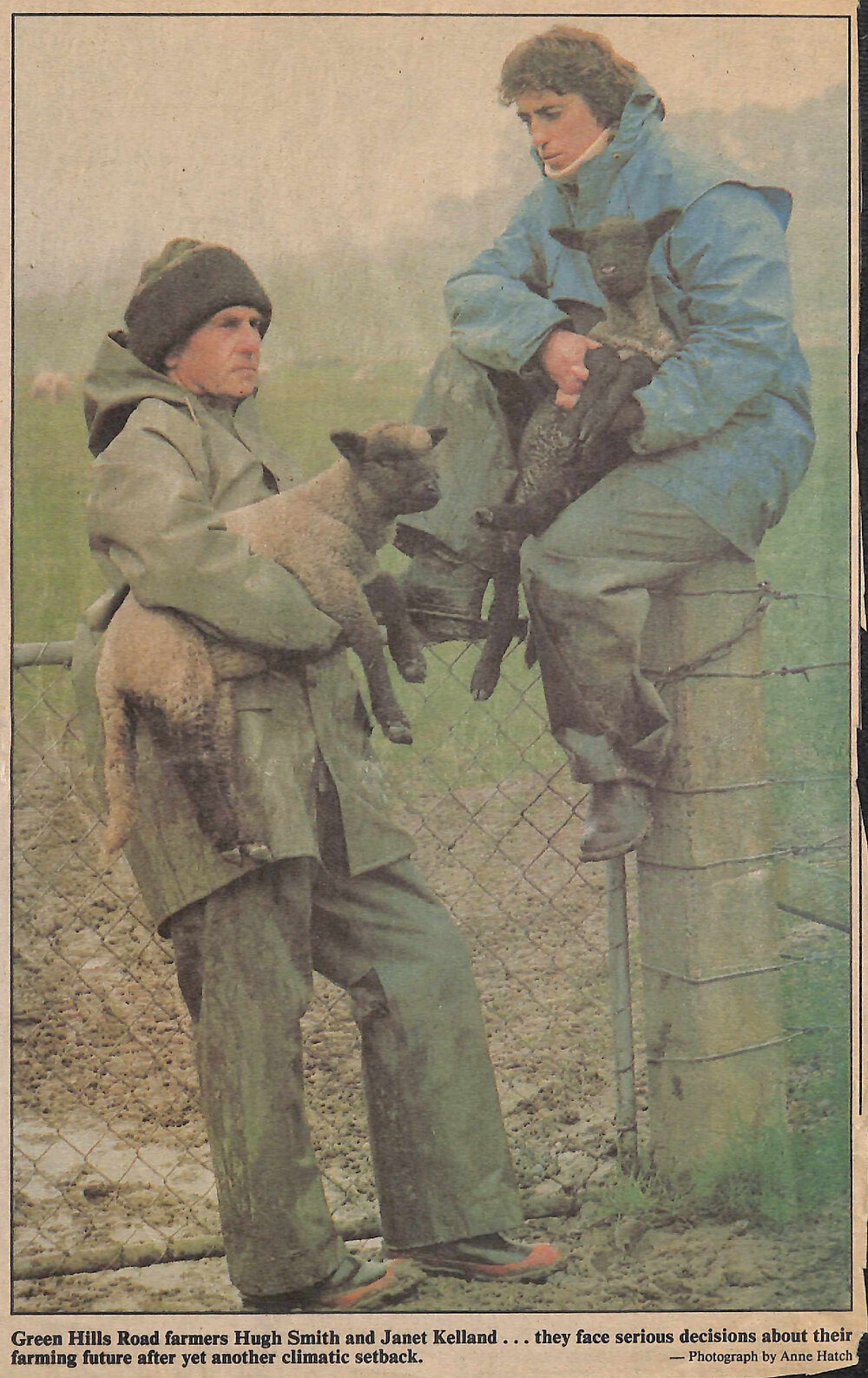 Dream farm turns sour / Winter nightmare has taken a heavy toll