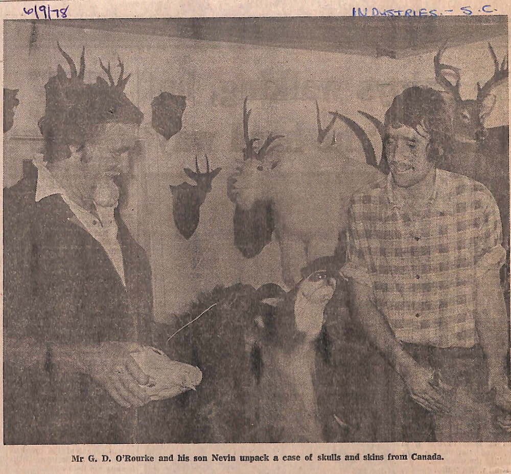 Taxidermy flourishing as emphasis switches