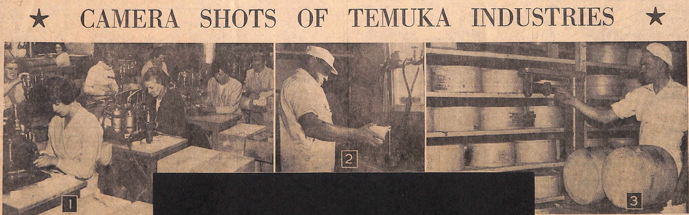 Camera Shots of Temuka Industries