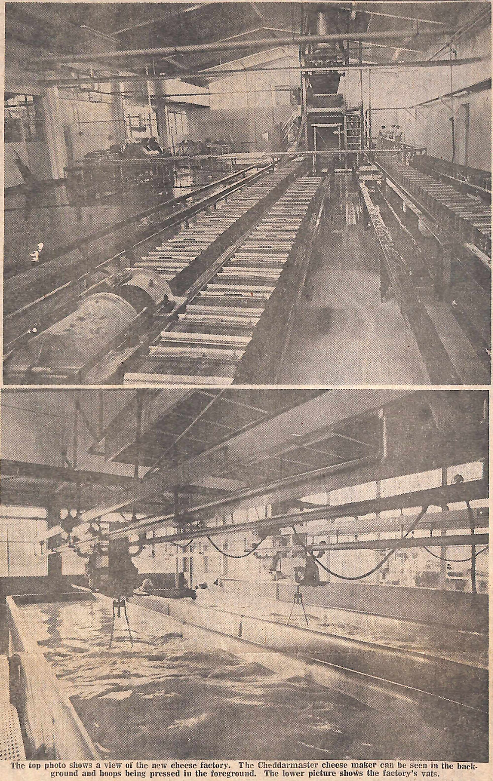 Three companies formed new factory