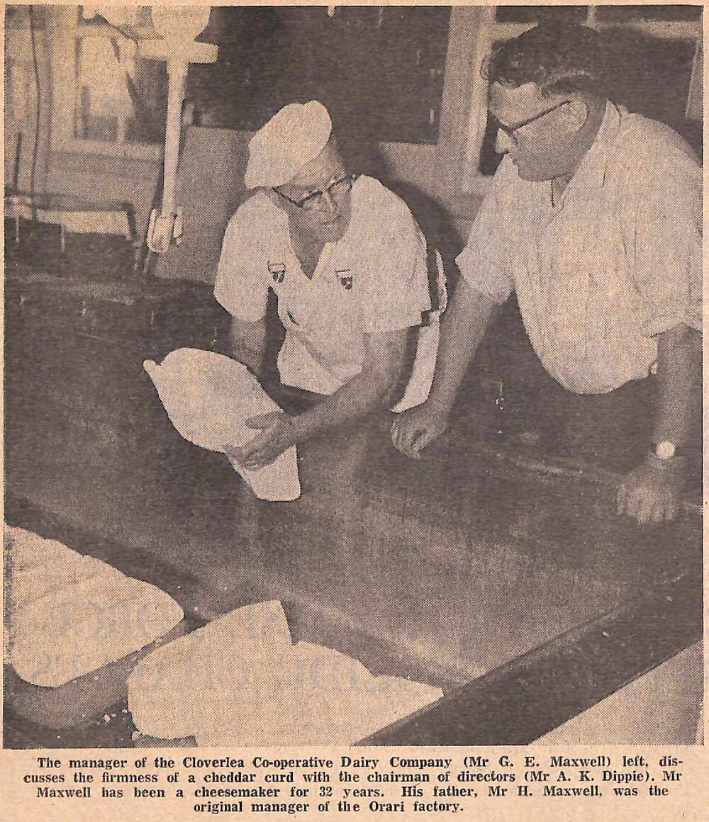 Cheese Cheque Worth $520,000 a Year to District Farmers