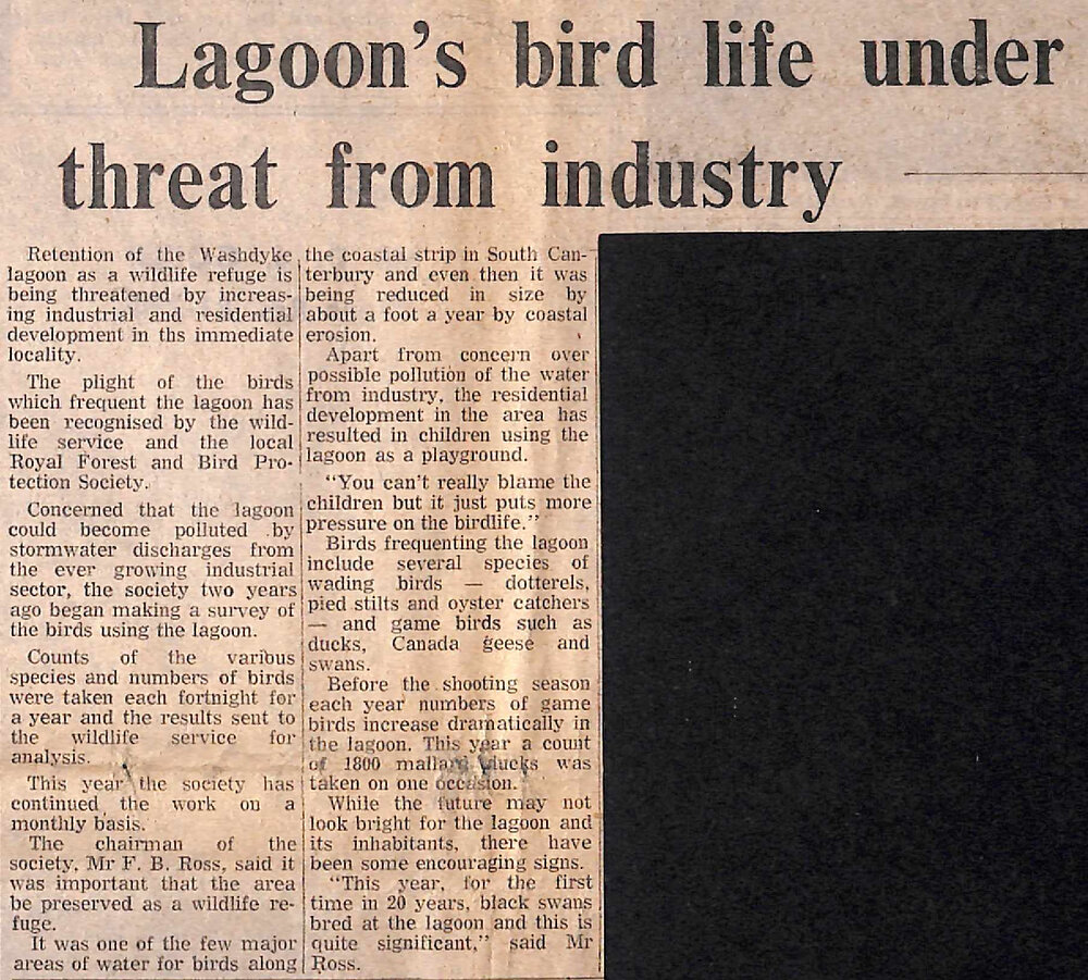 Lagoon's bird life under threat from industry