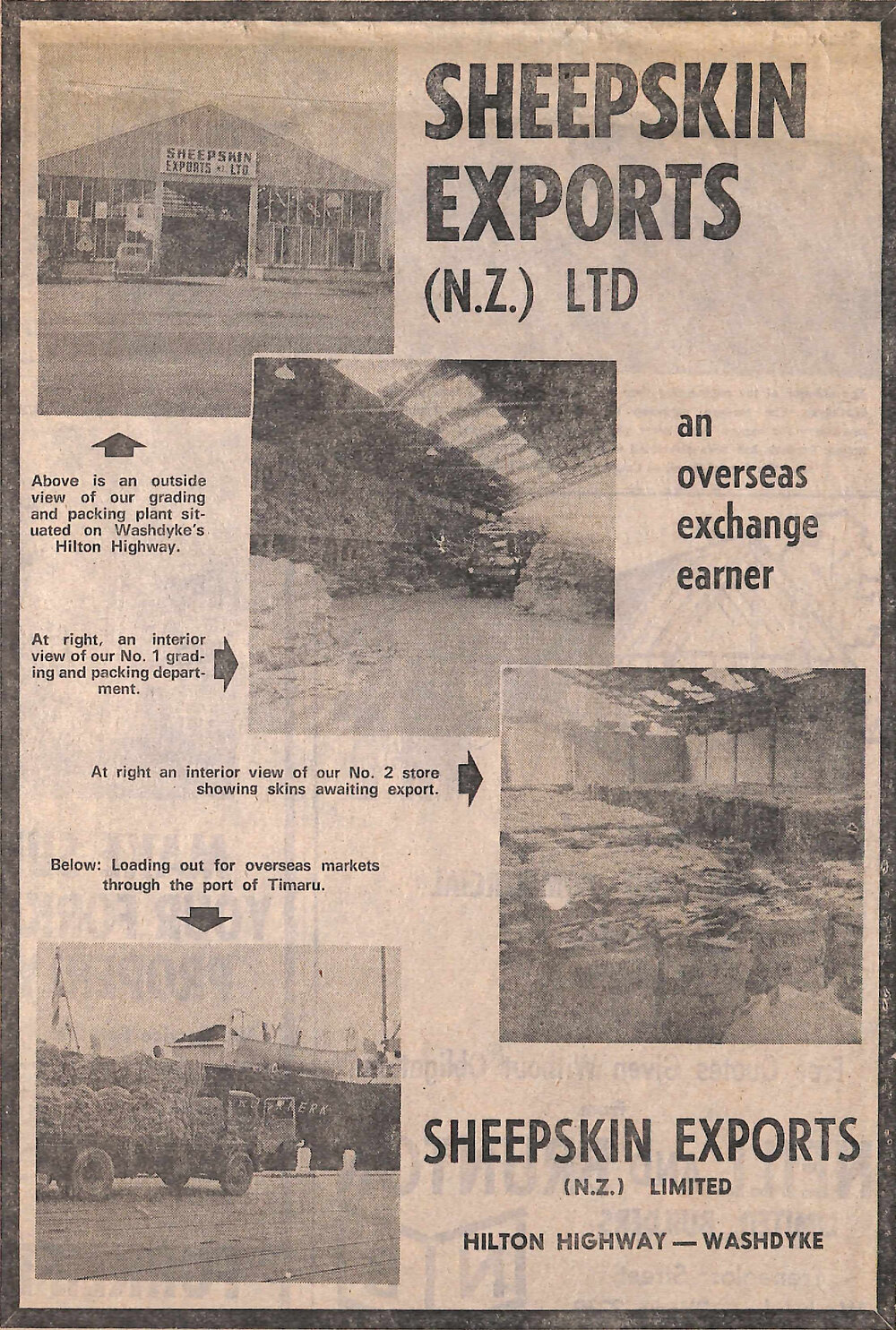 Sheepskin Exports (NZ) Ltd advertisement