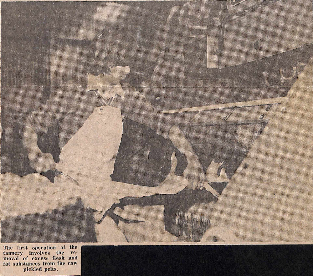 Confidence in industry never wavered