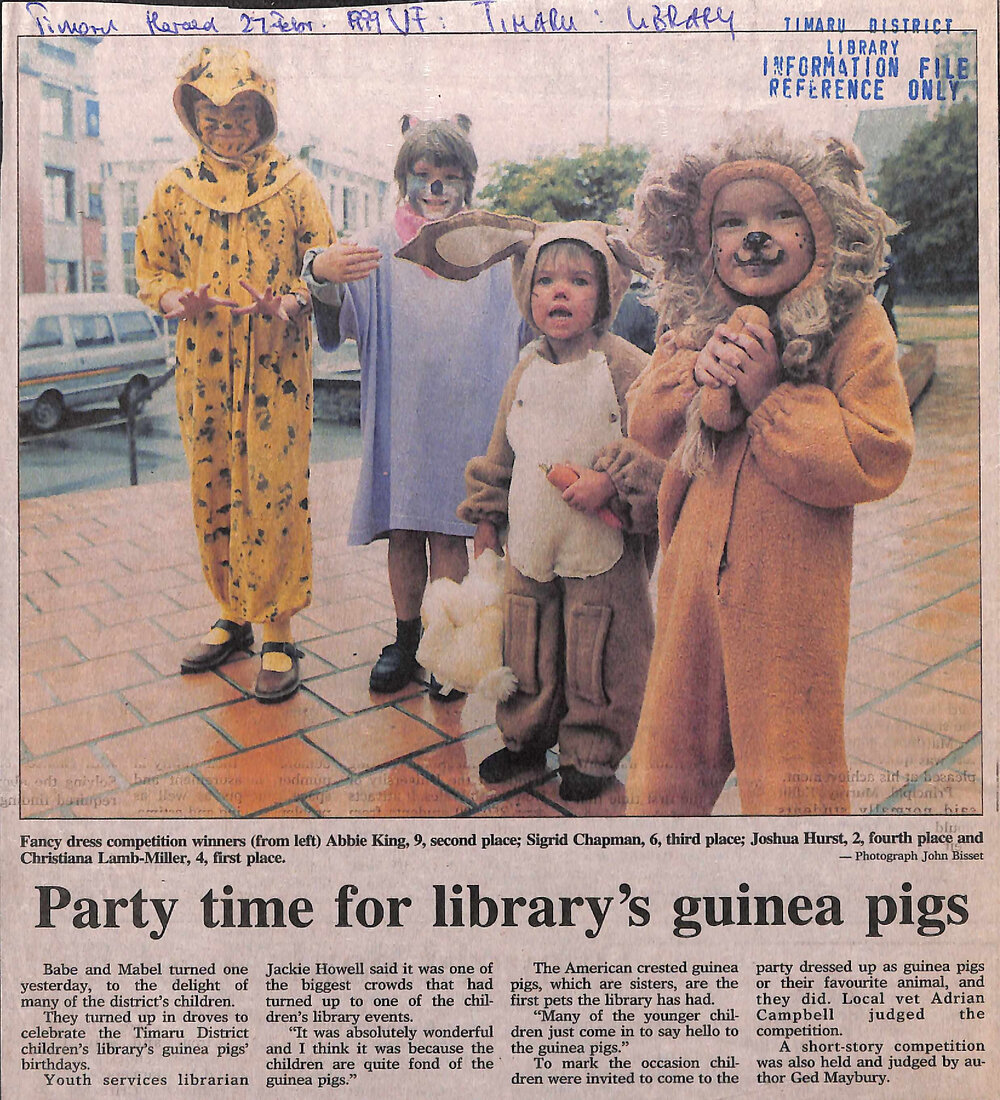 Party time for library's guinea pigs