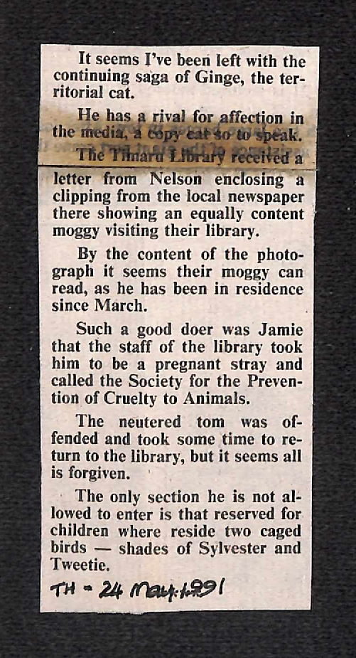 The continuing saga of Ginge, the territorial library cat