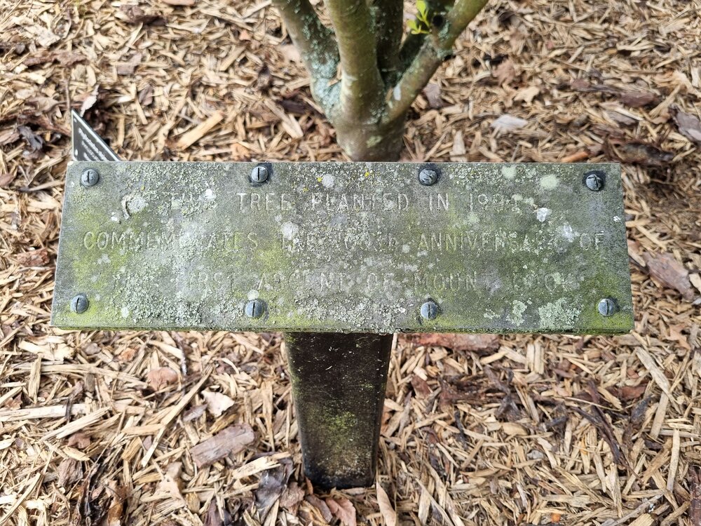 Mt Cook ascent commemorative plaque