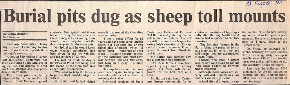 Burial pits dug as sheep toll mounts