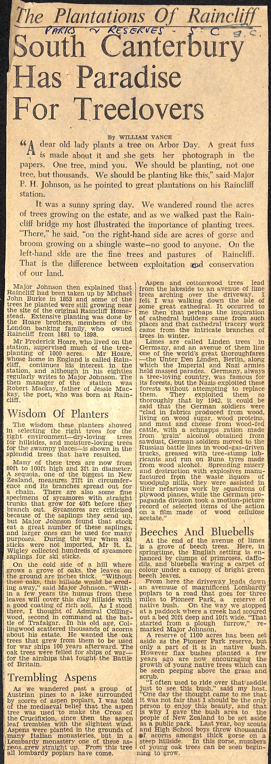 The Plantations of Raincliff: SC Has Paradise For Treelovers / Triumph Of The Tree