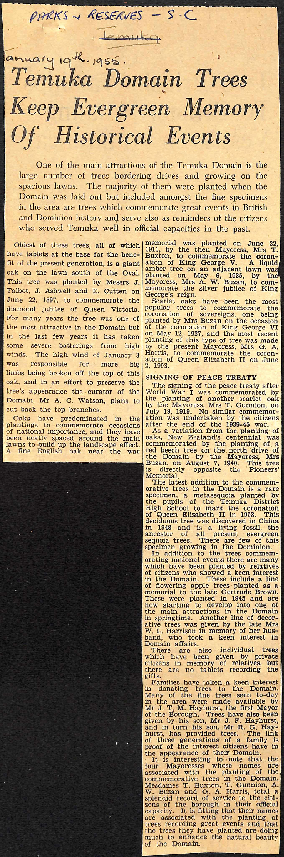 Temuka Domain Trees Keep Evergreen Memory Of Historical Events