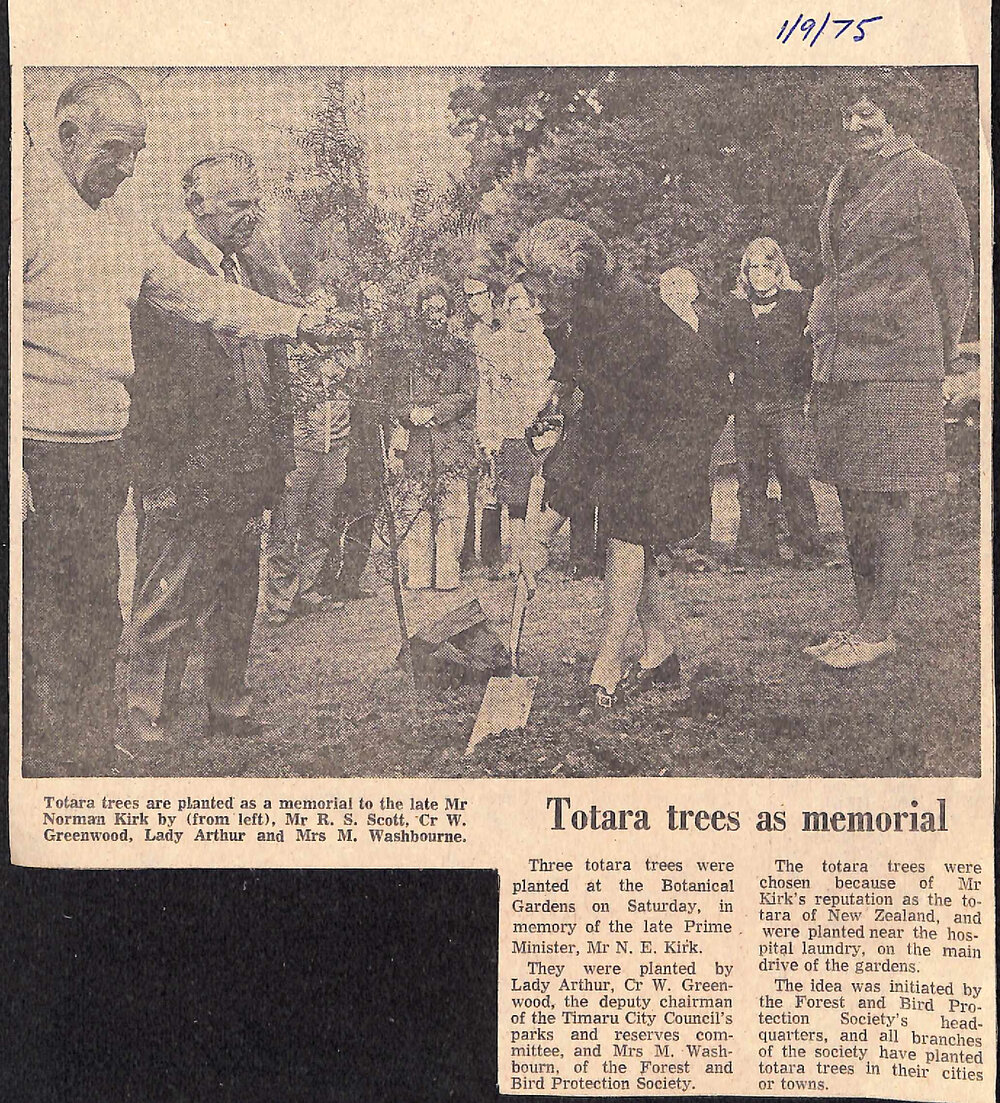 Totara trees as memorial
