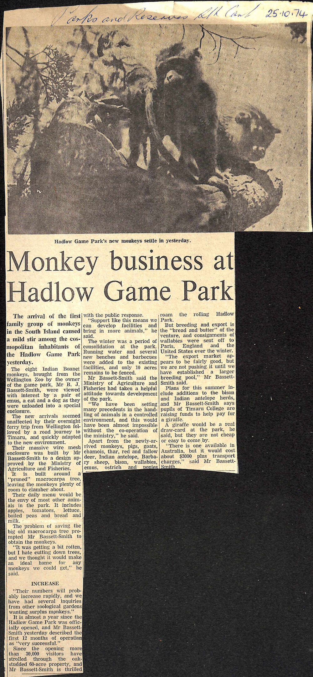 Monkey business at Hadlow Game Park