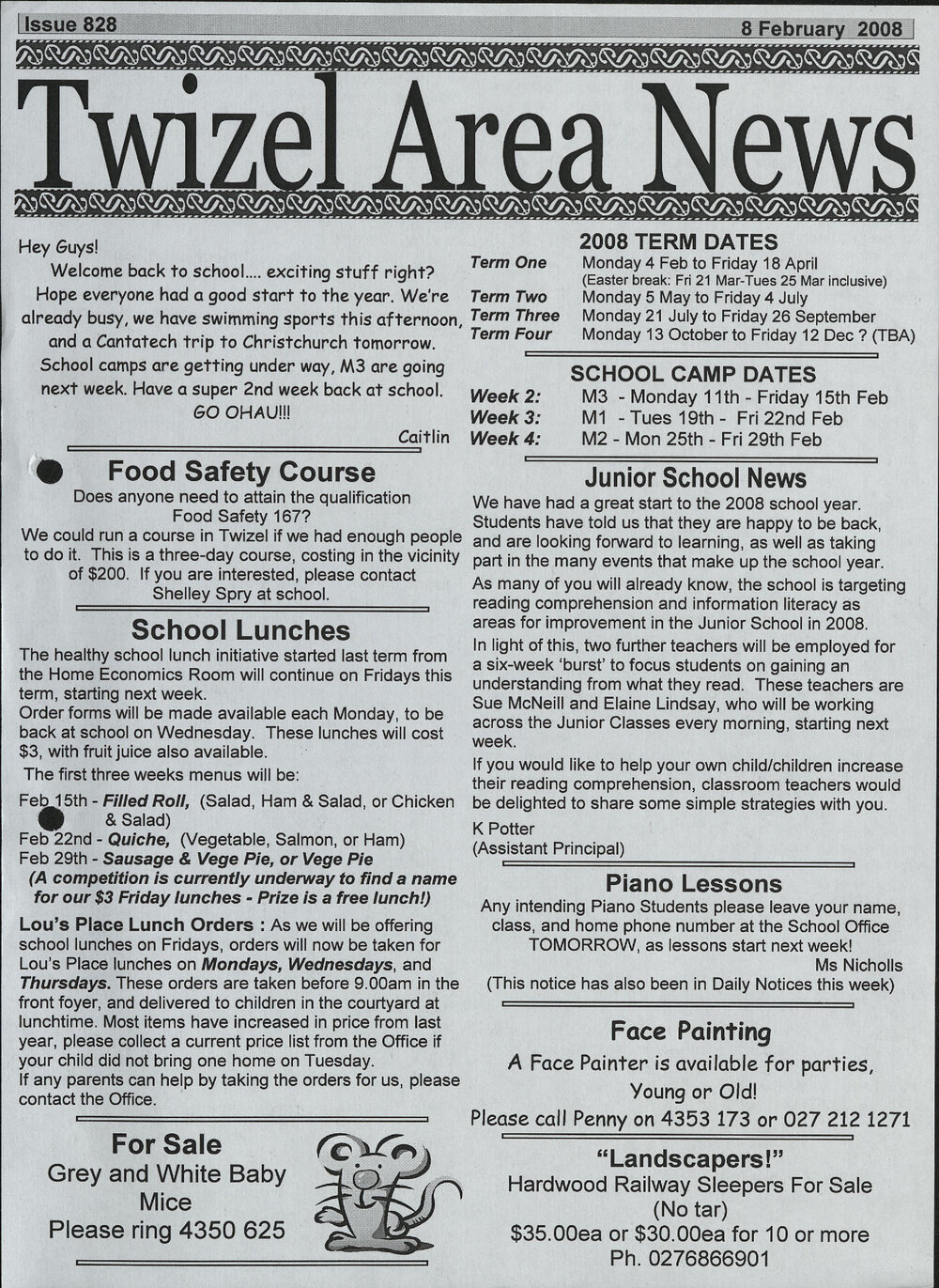 2008 Twizel Area News