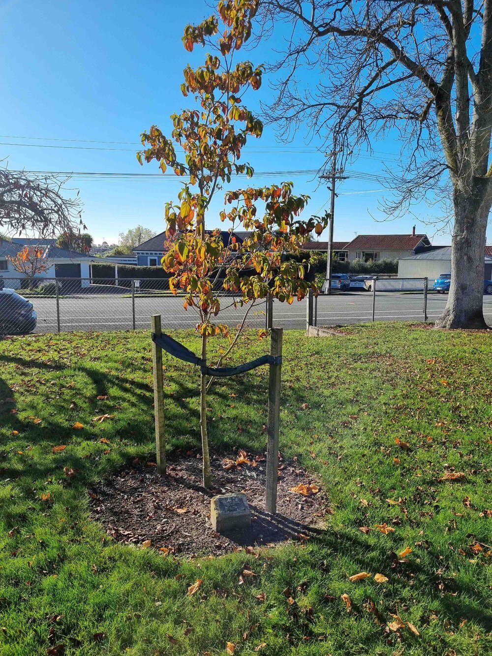 Gleniti Country Women's Institute plaque
