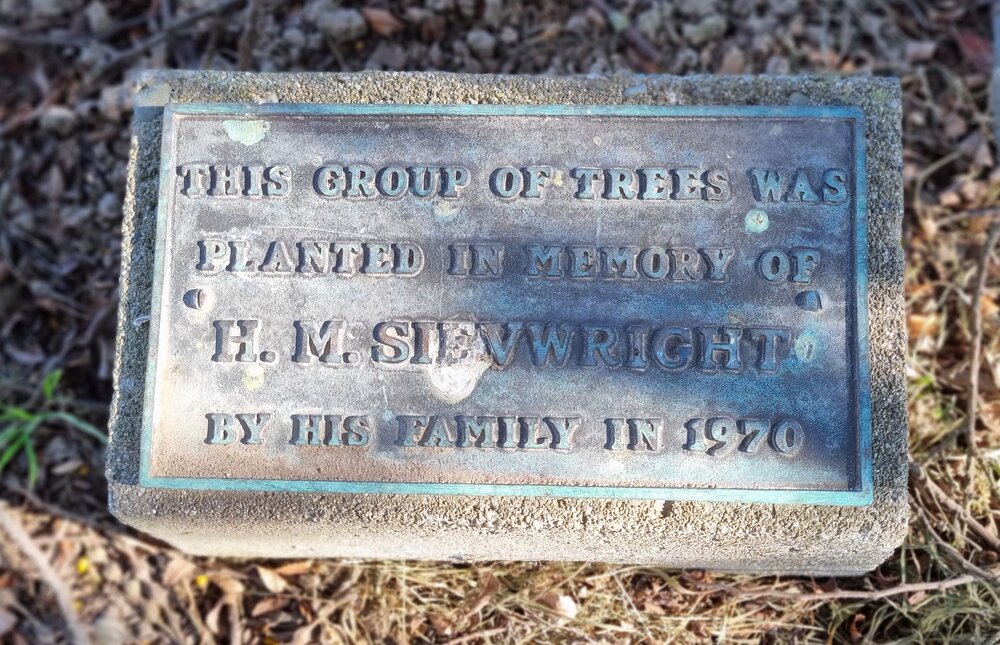 Sievwright plaque TGHS