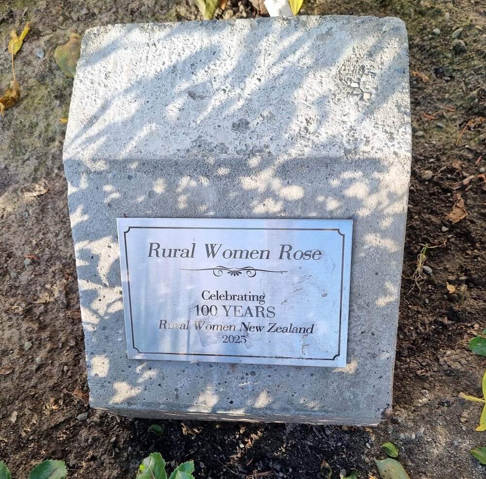Rural Women Rose
