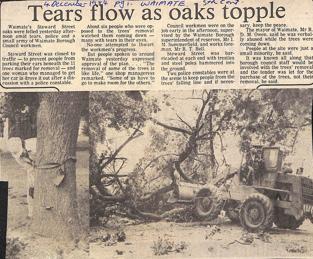 Tears flow as oaks topple