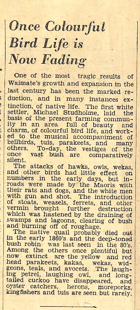 Once Colourful Bird Life is Now Fading