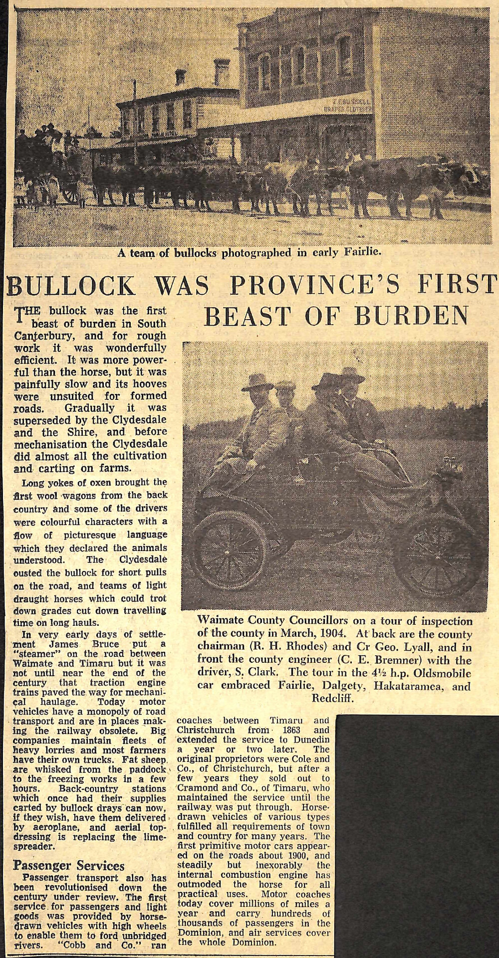 Bullock Was Province's First Beast Of Burden